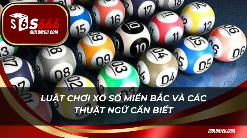 xổ số miền bắc Luật chơi xổ số miền bắc và các thuật ngữ cần biết