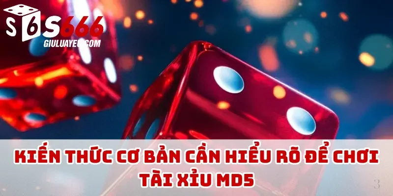 Kiến thức cơ bản cần hiểu rõ để chơi tài xỉu MD5