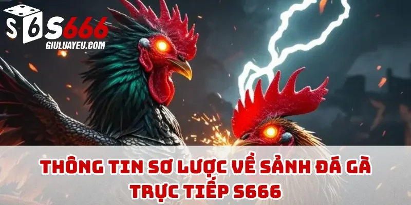 Thông tin sơ lược về sảnh đá gà trực tiếp S666