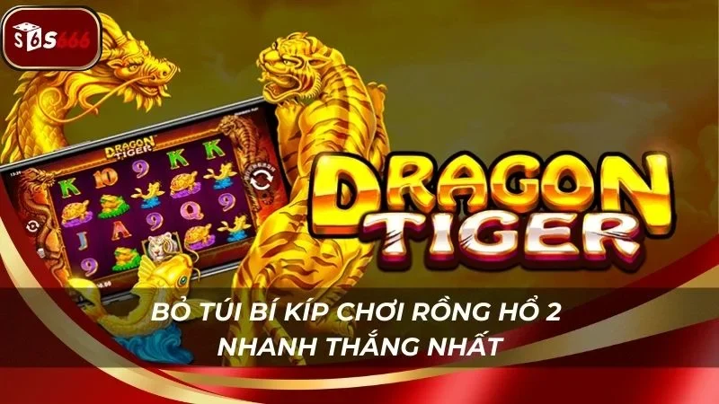 Bỏ túi bí kíp chơi Long Hổ 2 của cao thủ để đổi đời